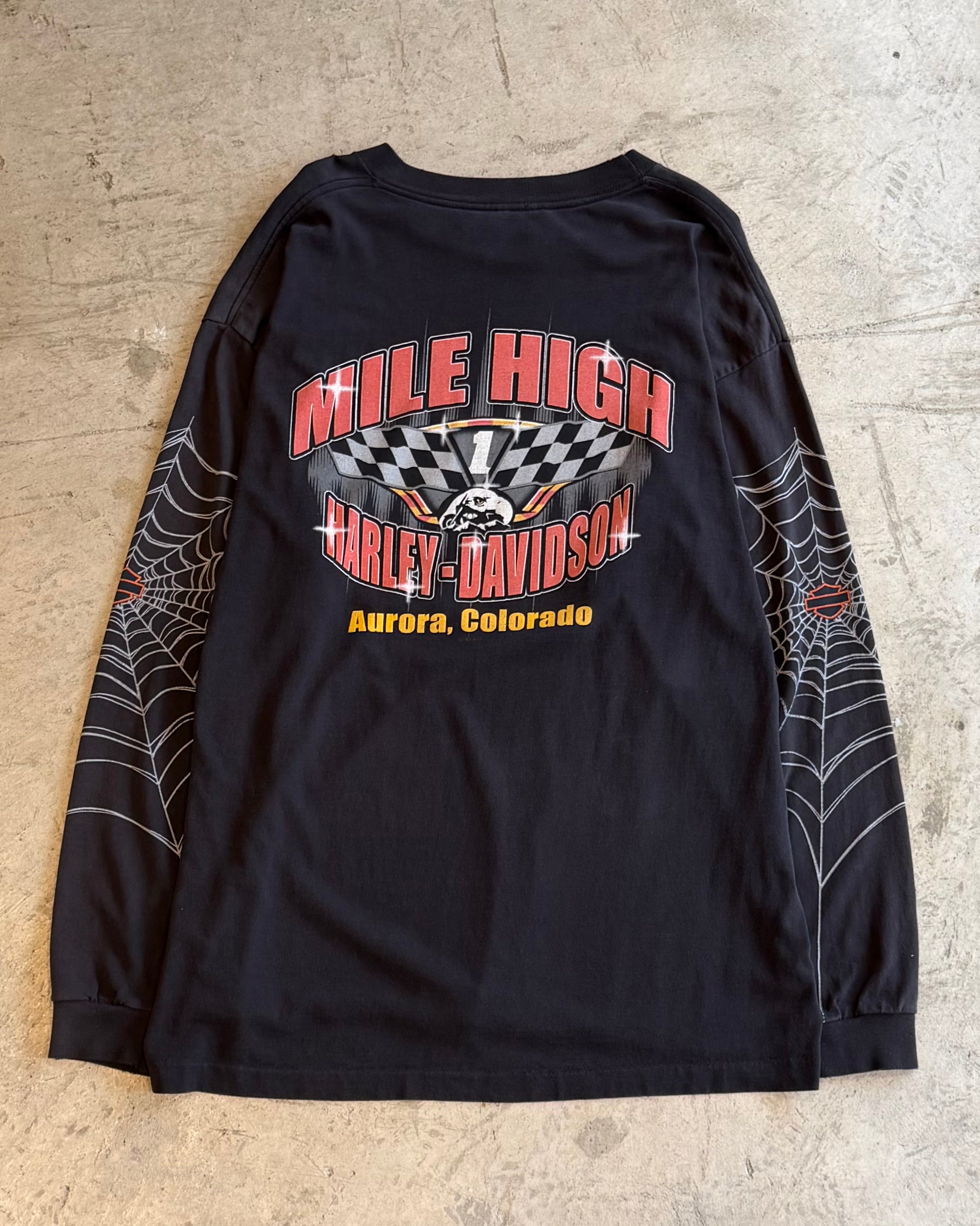 00’s “HARLEY-DAVIDSON”      spider web I/s t-shirt
